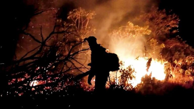 Manejo integrado do fogo diminui incêndios florestais – Agência Brasília