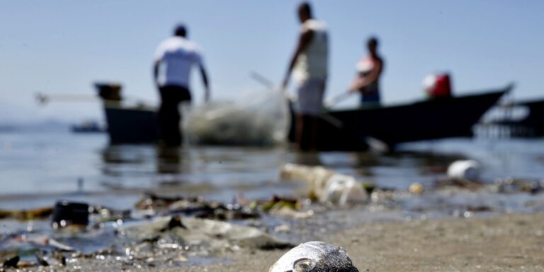 Mais de 12 mil licenças de pescadores profissionais são suspensas