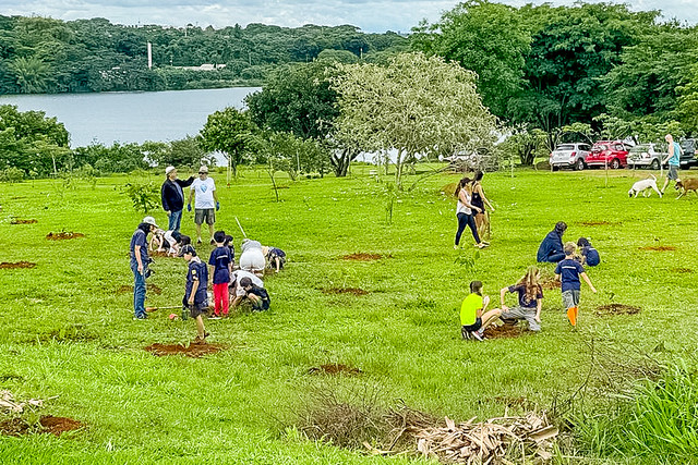 Mais de 1,5 mil mudas de árvores plantadas em núcleos rurais do Lago Norte