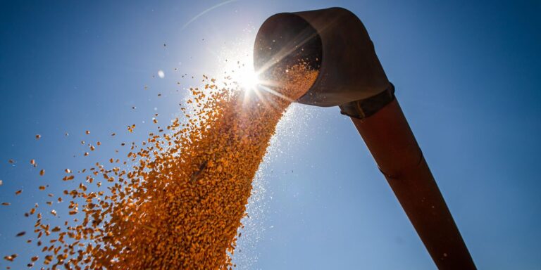 Conab estima produção de grãos em 315,8 milhões de toneladas