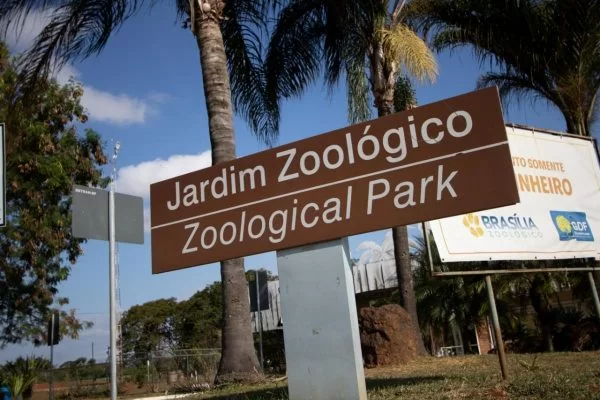 Zoológico de Brasília Anunciará Mascote Oficial Após Votação Popular