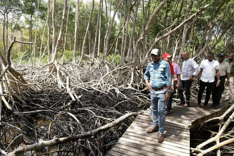 Trinidad Tobago 12/02/2024 Uma área afetada por um derramamento de óleo na Ilha de Tobago, Trinidad e Tobago. Foto Reuters.