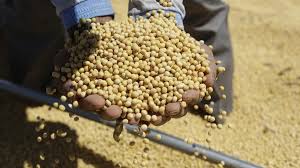 images - 2025-11-17T093019.622