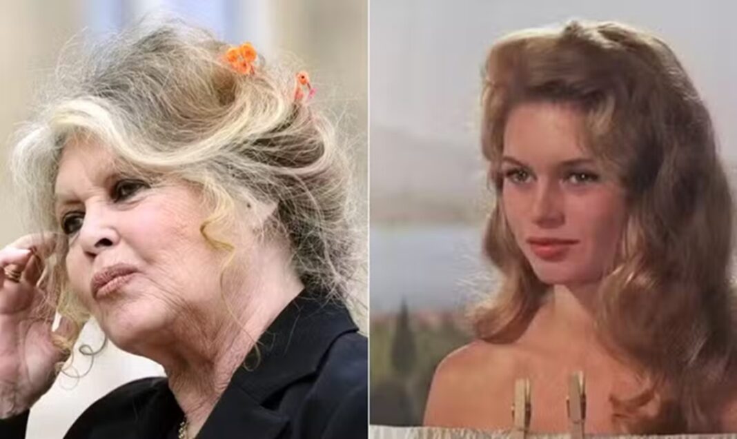 morre-brigitte-bardot-atriz-francesa