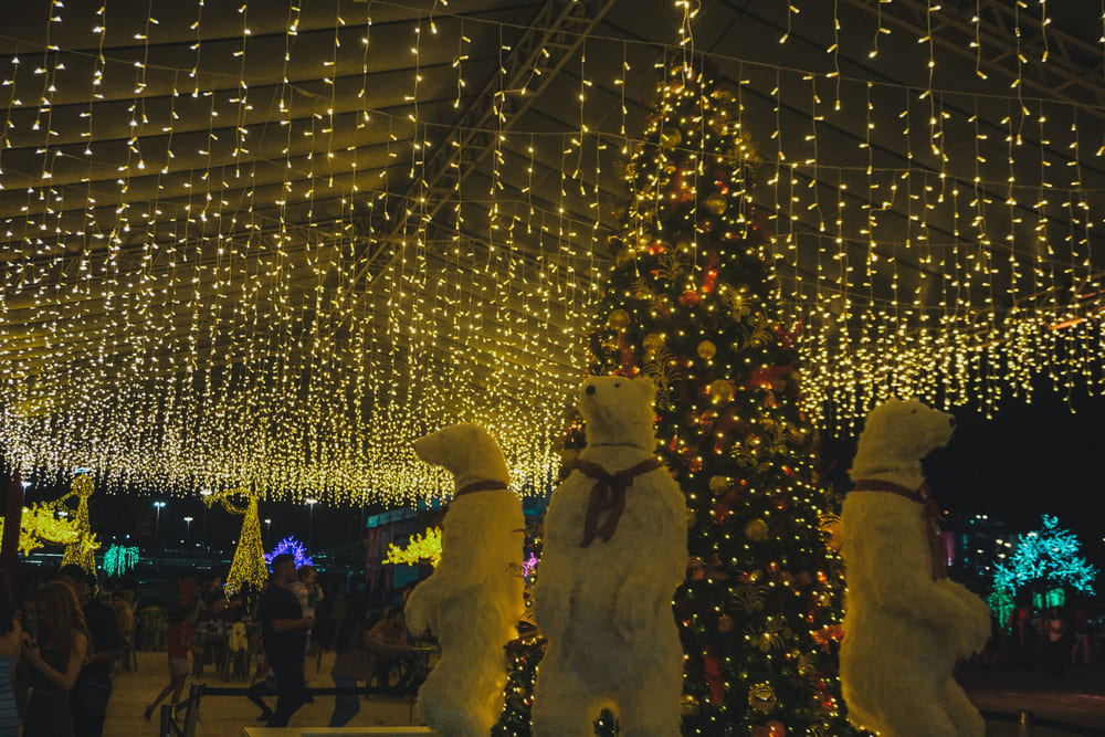 natal-2024-divulgação-sececdf - 10 - C (1)