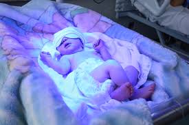 images - 2026-01-29T234512.235