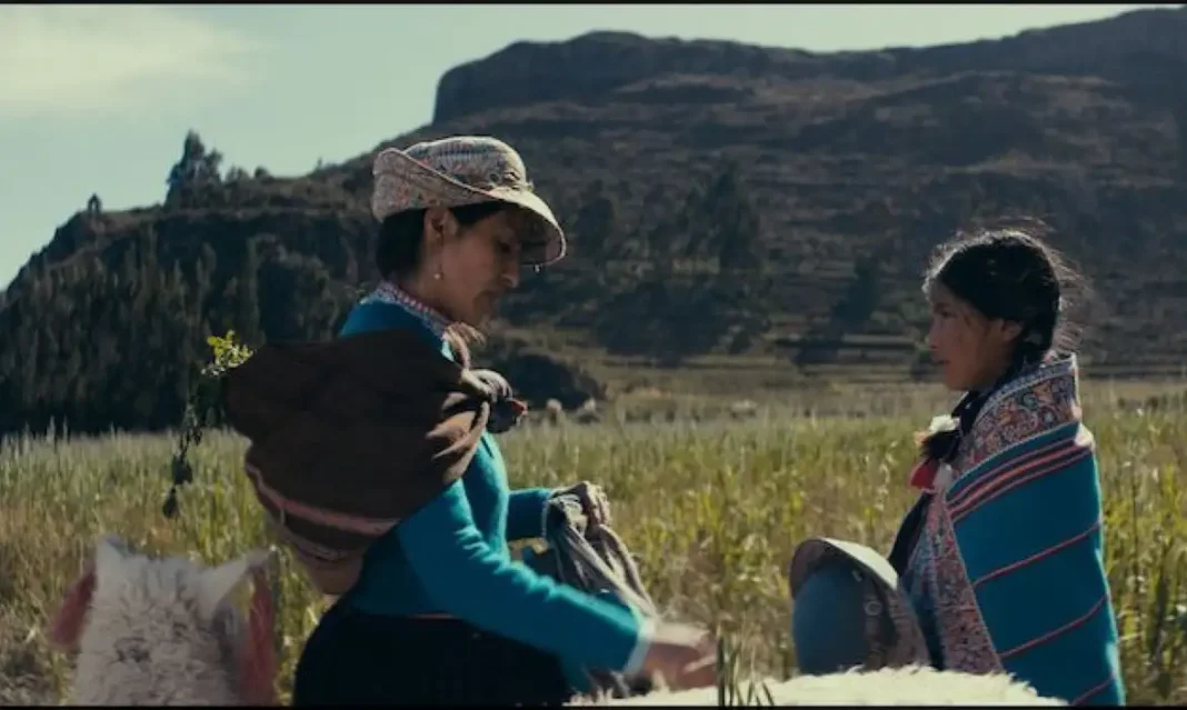 04_still_naira-7